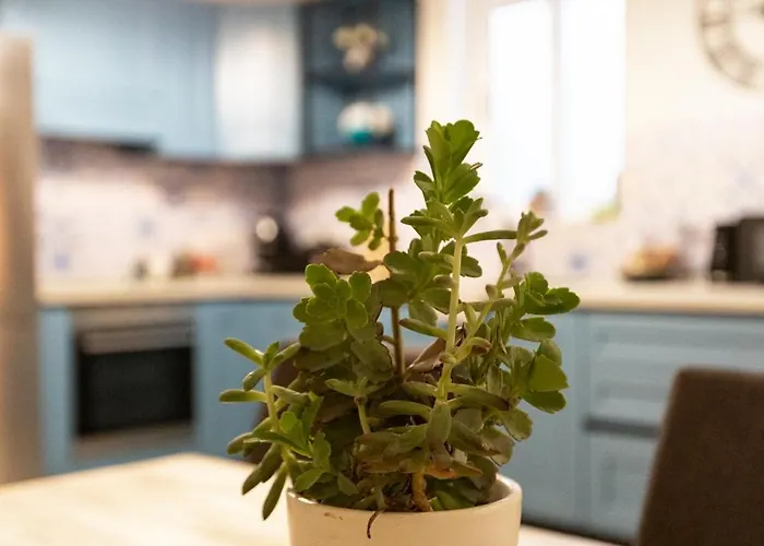 Mag2 - One Of A Kind 3 Bed *